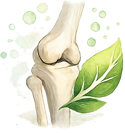 Bones, Muscle & Joint Health