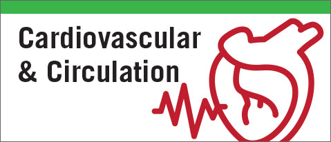 Cardiovascular & Circulation