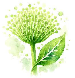 Pleo Sanum Biological Medicine